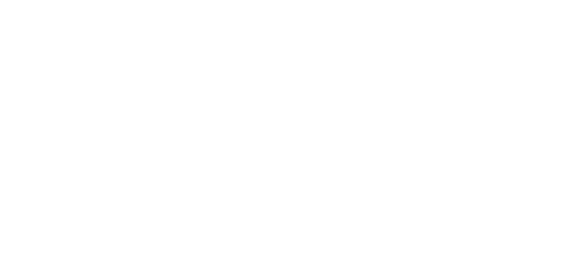 Pizzzland